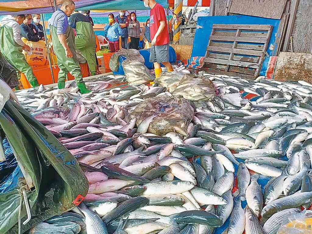 钨金价格今日价格(钨金价格今日报价)