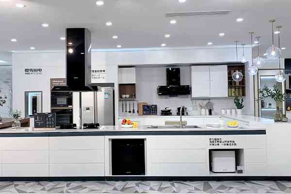 樱雪集团成立25年:从无到有,从弱到强 樱雪集团成立25年:从无到有,从弱到强