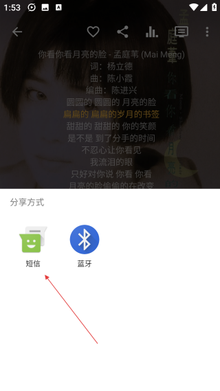 脉冲音乐播放器pulsar