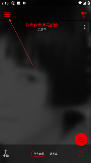 深红音乐播放器专业版