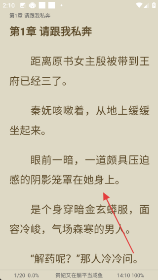 小书阁去广告版