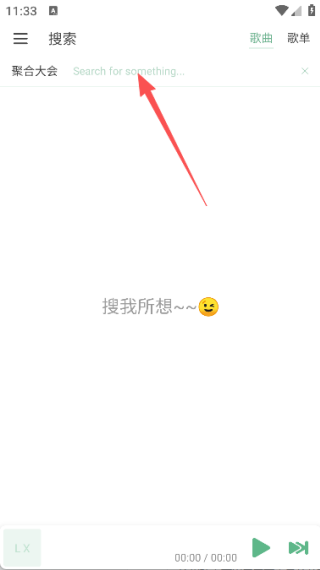 洛雪音乐车机版