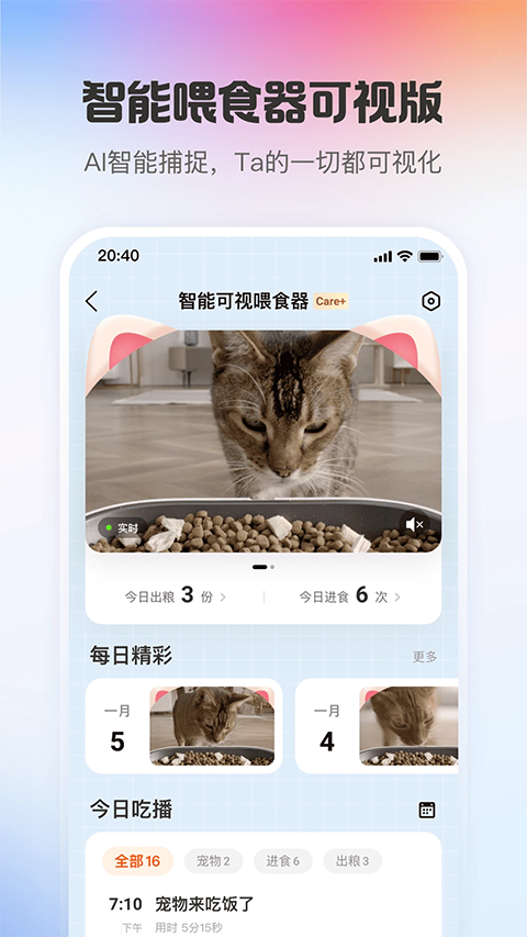 小佩宠物