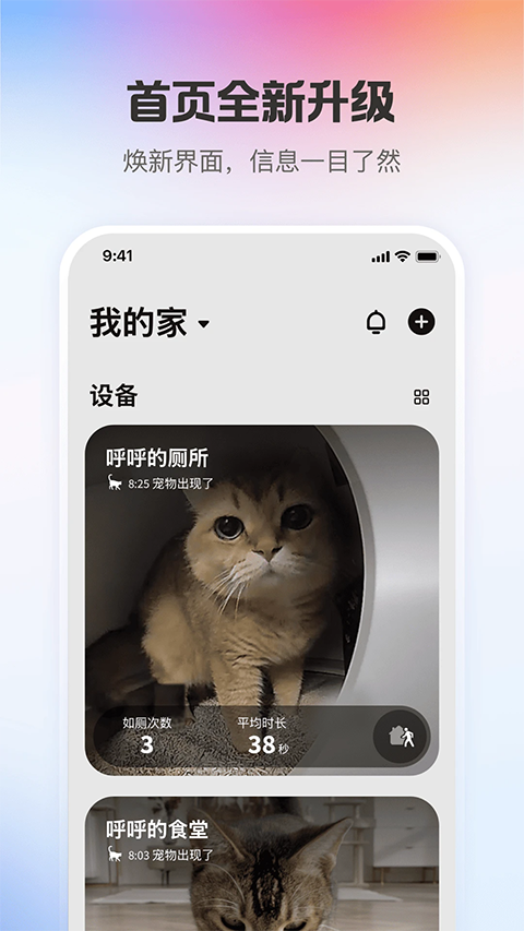 小佩宠物