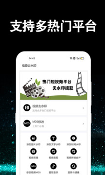 视频提取大师免费版