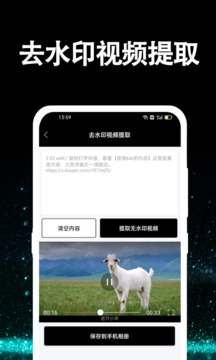视频提取大师免费版