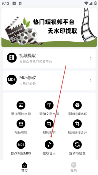视频提取大师