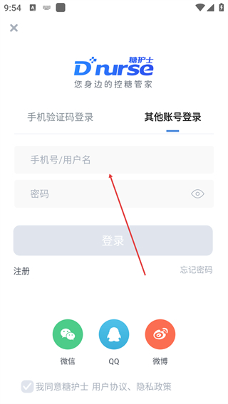 糖护士