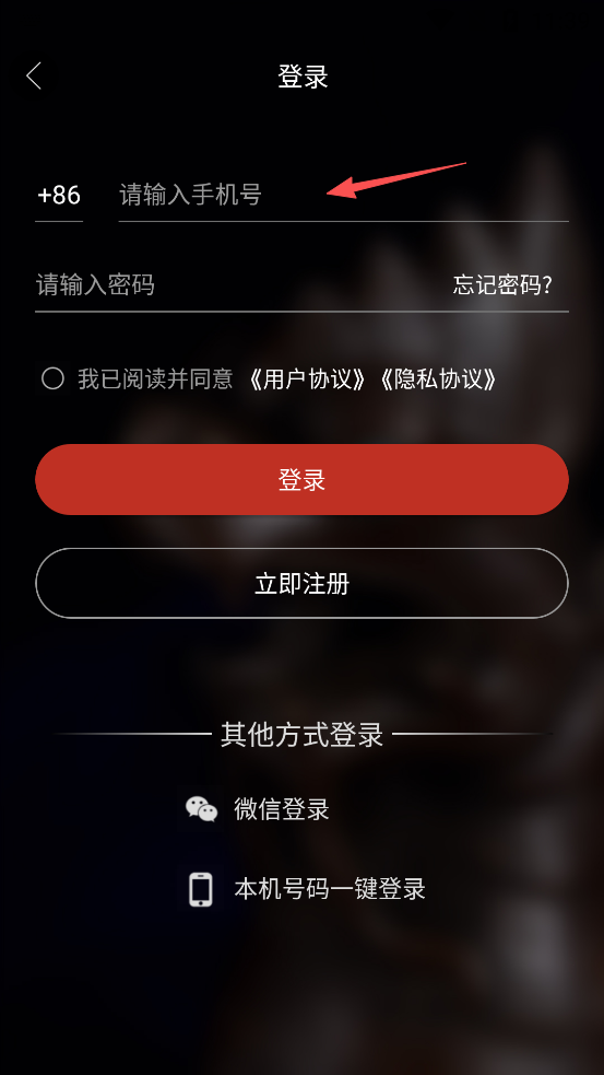 龘藏