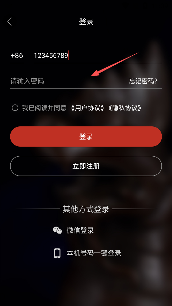 龘藏