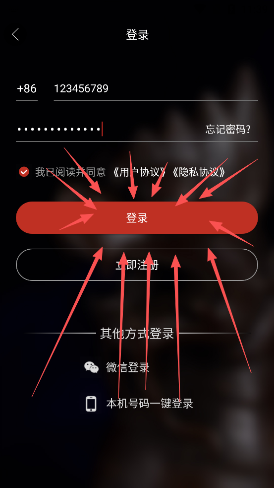 龘藏