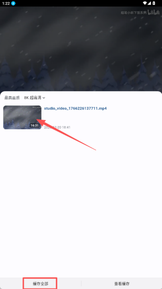 PiliPlus最新版