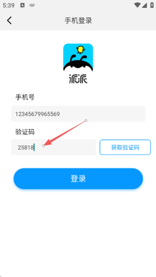 派派