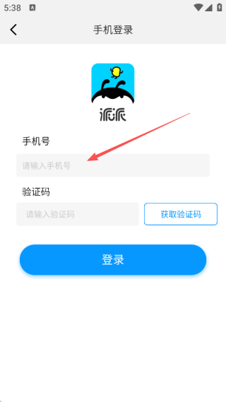 派派