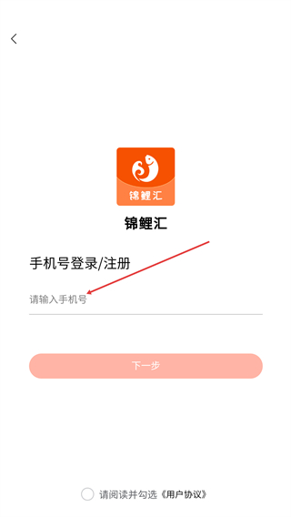 锦鲤汇