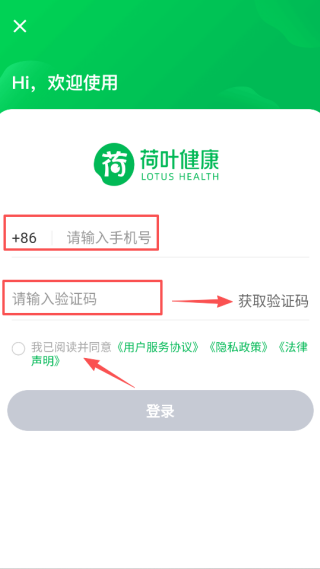 荷叶健康