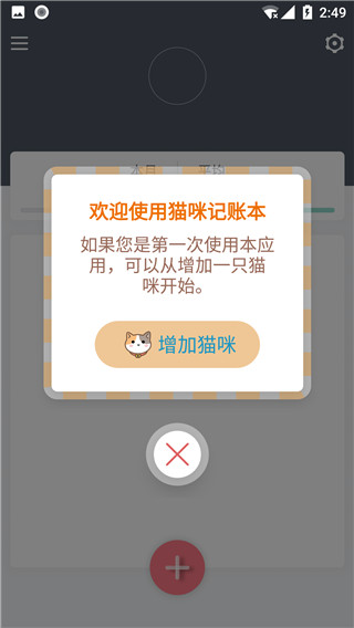 猫咪成长记