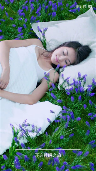 牛牛睡眠