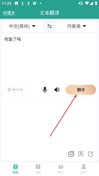 实时翻译大师