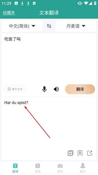实时翻译大师