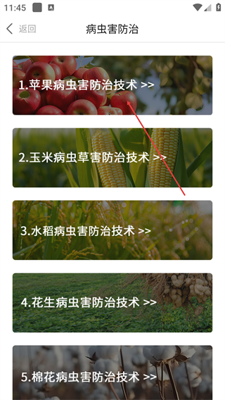 农一网电商平台