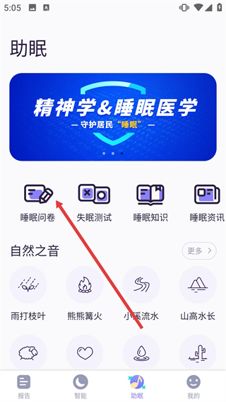 牛牛睡眠