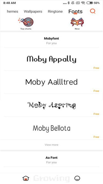 小米主题国际版