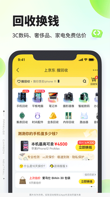 拍拍app