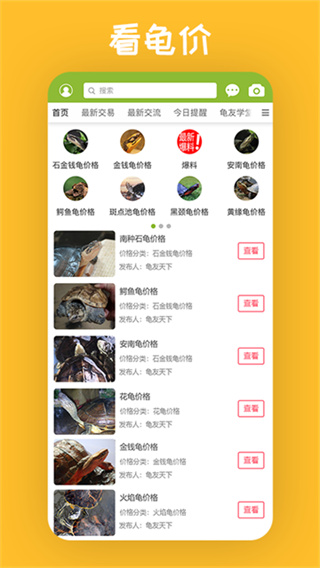 龟友天下