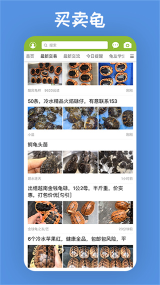 龟友天下