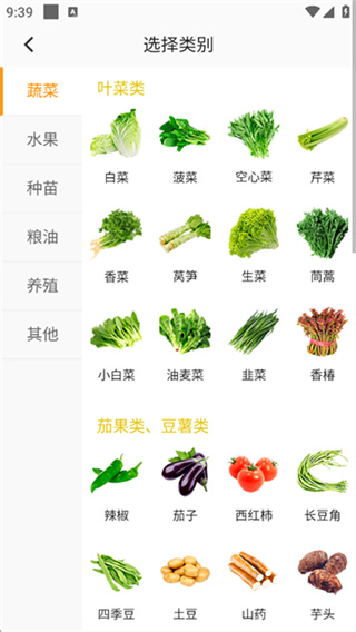 珍汇选