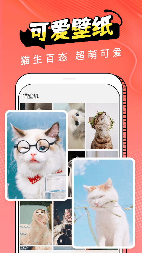 动物交流器