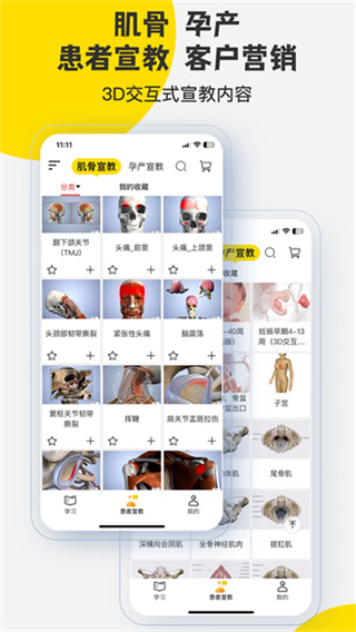 3DBody解剖