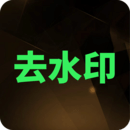去水印大师免费版