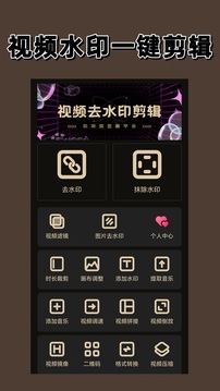 去水印大师免费版