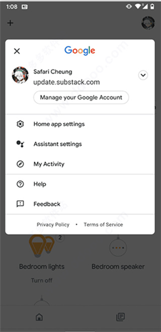 google home