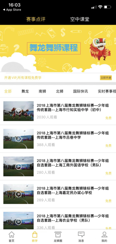 龙情狮义