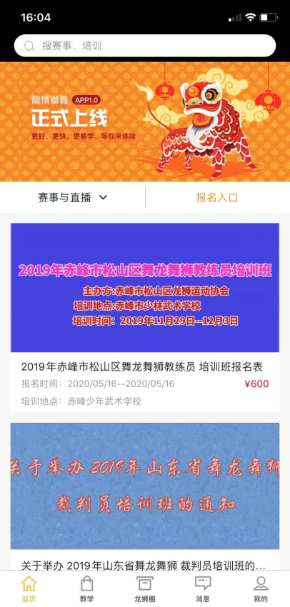 龙情狮义