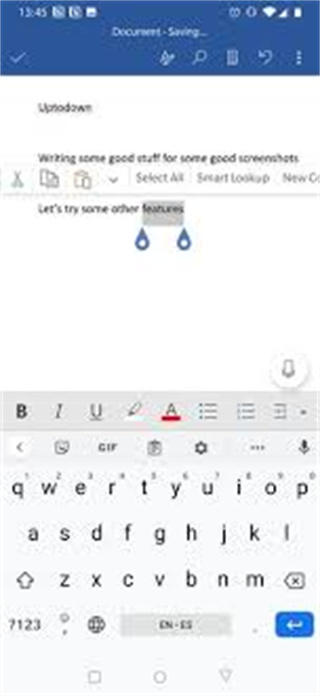 Microsoft Word