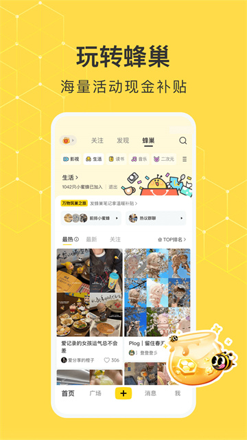 网易小蜜蜂正版