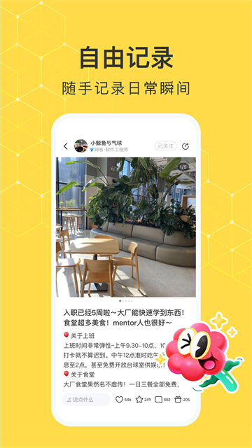 网易小蜜蜂正版