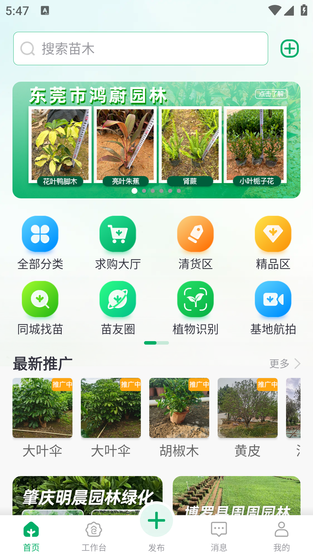 苗仓