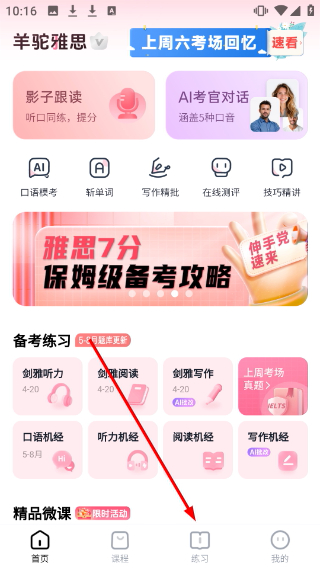 羊驼雅思