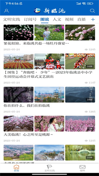 新临洮App
