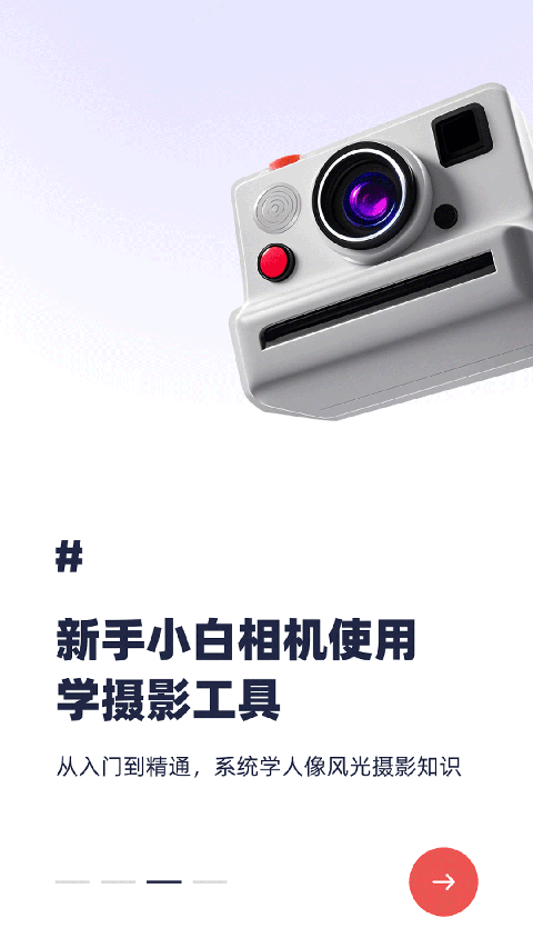 蚂蚁摄影