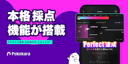 pokekara最新版