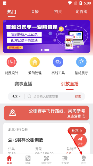 搜鸽天下最新版