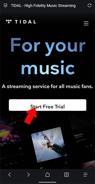 TIDAL软件